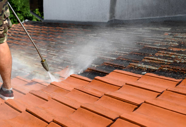 Best Roof Pressure Washing  in Marysville, WA