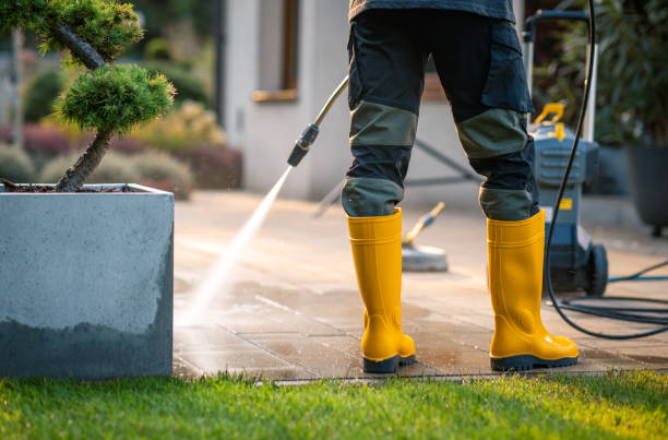 Best Exterior Home Cleaning  in Marysville, WA